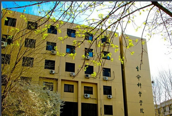 （2006年）山東大學生命科學院實驗樓  